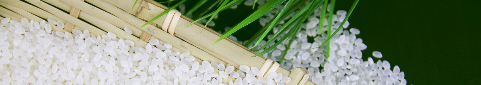 Trust Wallet官方网址